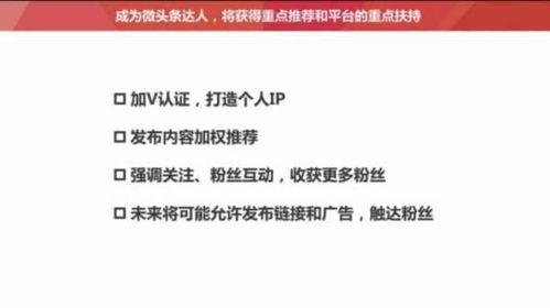 正常的头条粉丝有多少,头条粉丝数量背后的秘密与趋势