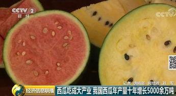 世界吃瓜大国,揭秘全球美食狂欢盛宴