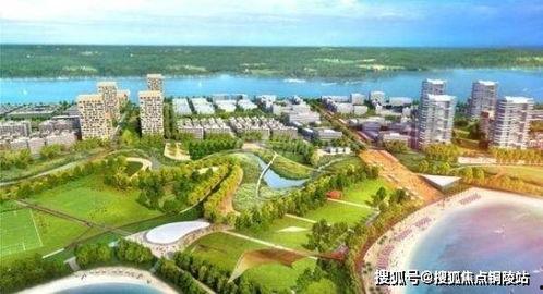 海口最近的头条新闻号,聚焦城市发展与民生改善动态
