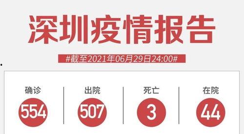 深圳头条号图片大全集,捕捉城市瞬间，展现魅力风采