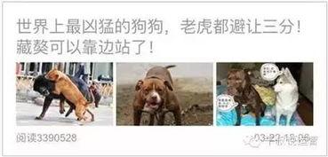 儿童阅读的头条号文章,儿童阅读头条号精选策略揭秘