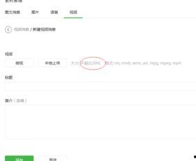 已发过的微头条视频,探秘【视频主题】背后的故事与精彩瞬间