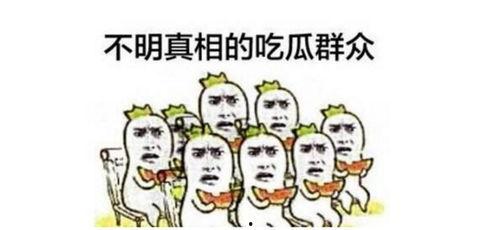 吃瓜群众梁衡,揭秘娱乐圈背后的故事