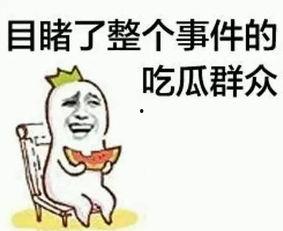 带你吃瓜撞头像,带你领略“带你吃瓜撞头像”的独特魅力
