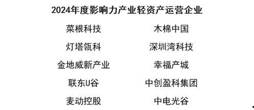 明星按辈分还是年龄排序,明星辈分与年龄交织的璀璨星图