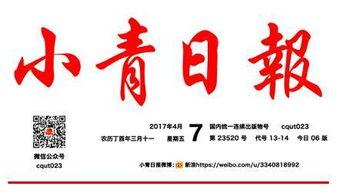 今日头条的足球迷,激情赛事背后的故事与精彩瞬间