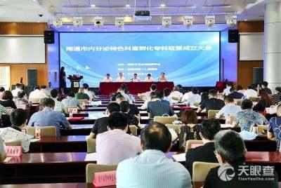 如东县红网,聚焦地方发展，传递民生温度