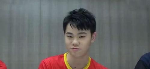 韩涵明星,星光璀璨的演艺之路