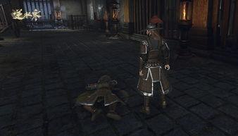 逆水寒最新爆料s29,新篇章开启，江湖风云再起