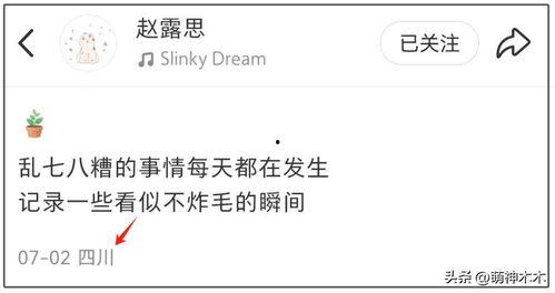 今日头条怎样看热搜,洞察社会热点背后的趋势与现象