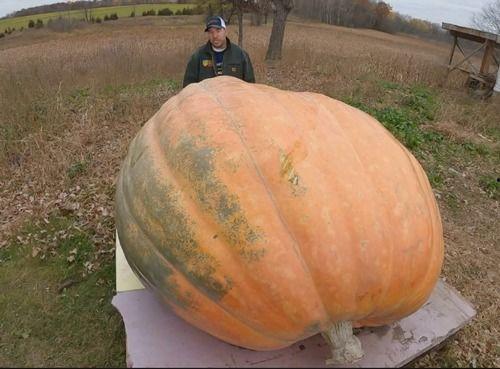 吃一中的瓜吃吐了,吃一堑，长一智的深刻感悟