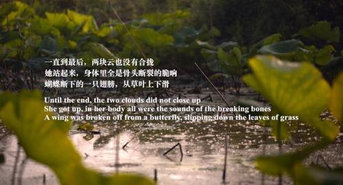 给明星的情诗,致敬偶像的浪漫赞歌