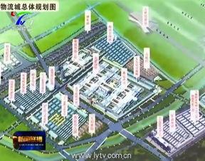 洛阳头条九都路改建项目,重塑洛阳城市交通新格局