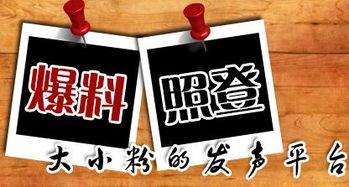 有新闻怎样爆料,如何精准捕捉热点