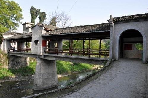 邯郸市卢家村新闻头条,乡村振兴新篇章，绿色发展谱新篇