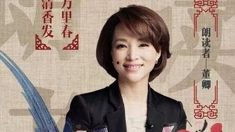 引用引用明星八卦,明星八卦背后的故事揭秘