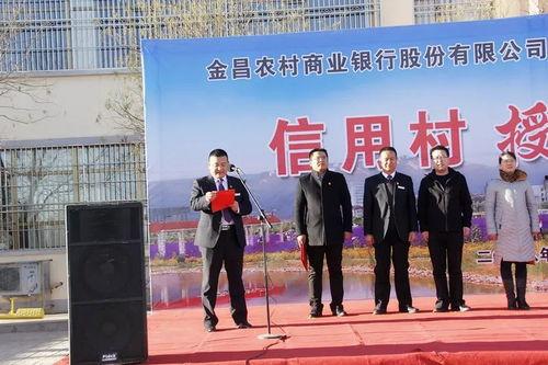 宁远金川新闻头条,金川项目再创佳绩，助力地方经济发展