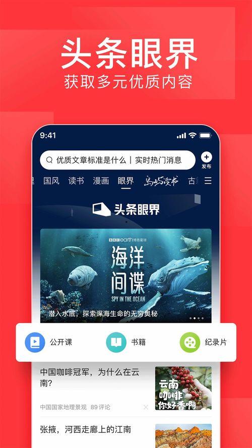 沙溪镇今日头条新闻,聚焦乡村振兴，共话发展新篇章