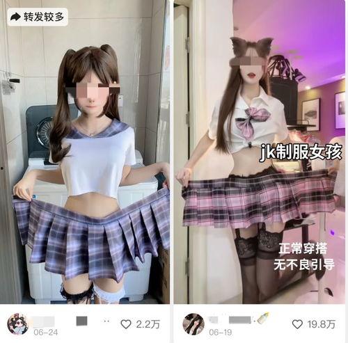 网红编制,揭秘网络红人的崛起与影响力